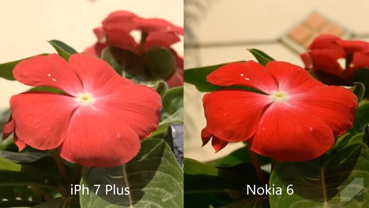 Nokia 6 vs iPhone 7 Plus