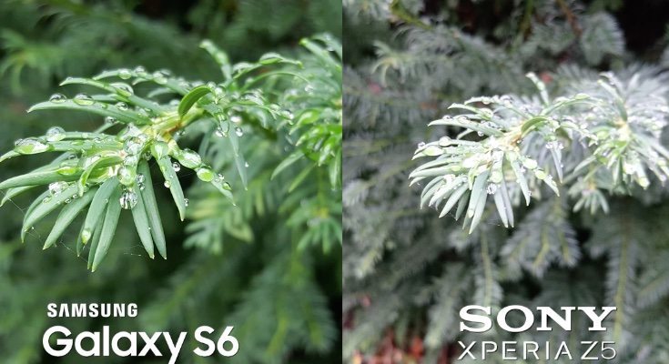 Samsung Galaxy S6 vs Sony Xperia Z5 camera performance b