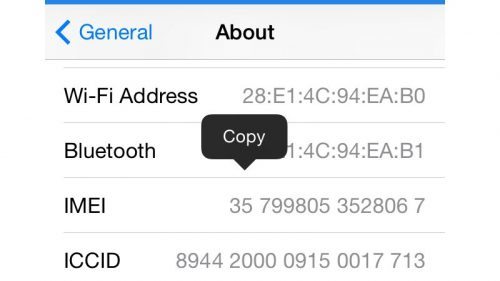 Use iOS Settings to Check IMEI