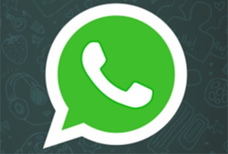 download whatsapp for windows download whatsapp for windows