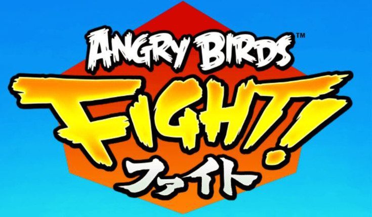 angry birds fight!