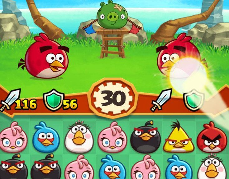 angry birds fight!