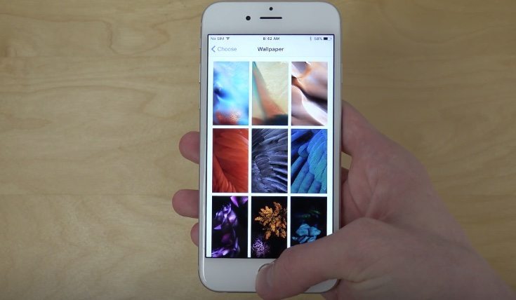 Clownfish Wallpaper Makes a Comeback with Latest iOS 16 Developer Beta |  Beebom