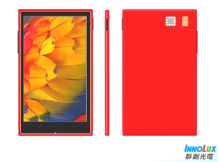 project ara display module