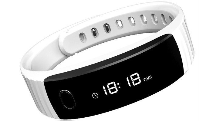 intex fitrist