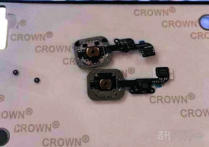 iphone 6 sensor leak